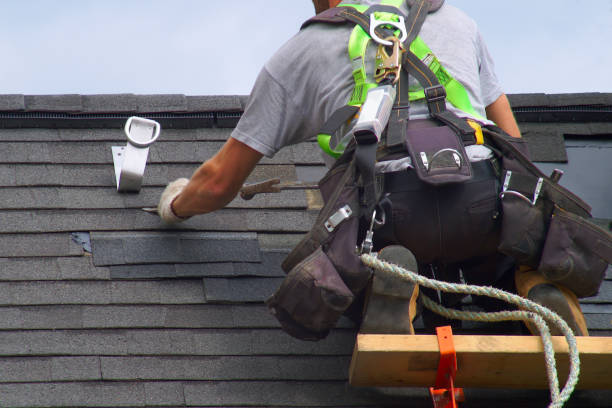Professional Siding Installation & Repair in Cairo, NE