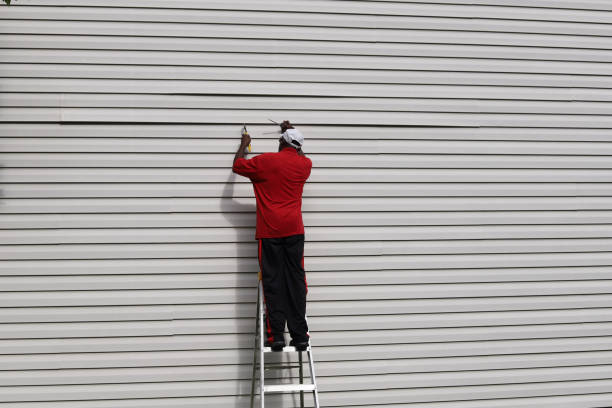 Best Siding Painting and Refinishing  in Cairo, NE