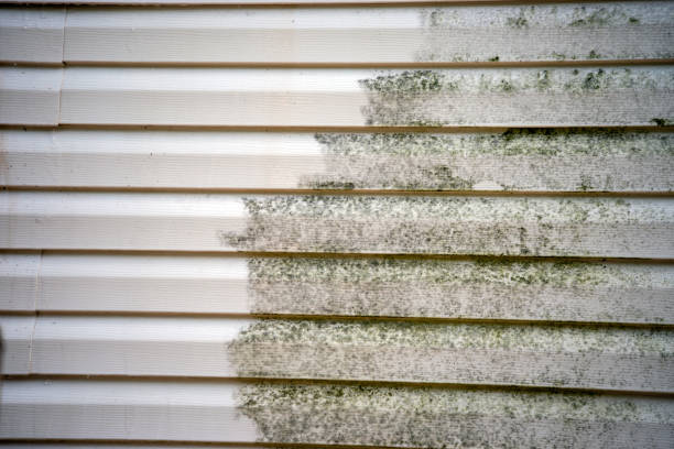Best Residential Vinyl Siding Installation  in Cairo, NE