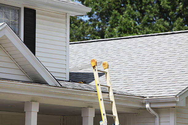 Affordable siding repair and maintenance services in Cairo, NE